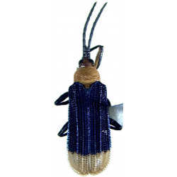 Zootaxa Coleoptera 2002...